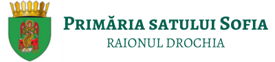 Website Logo
